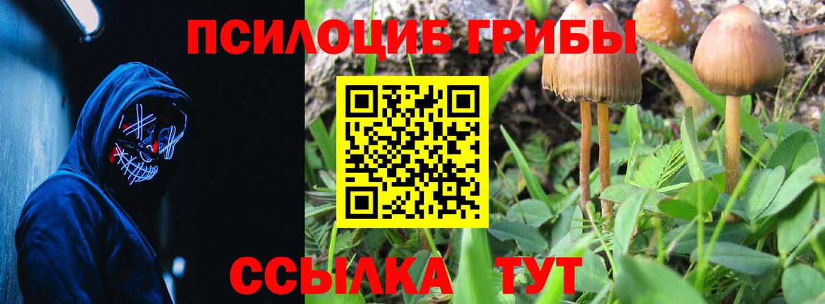 Псилоцибиновые грибы мухоморы  Вход с VPN  продажа наркотиков  Черкесск 